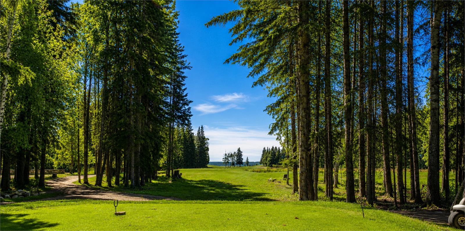 Hole 11
